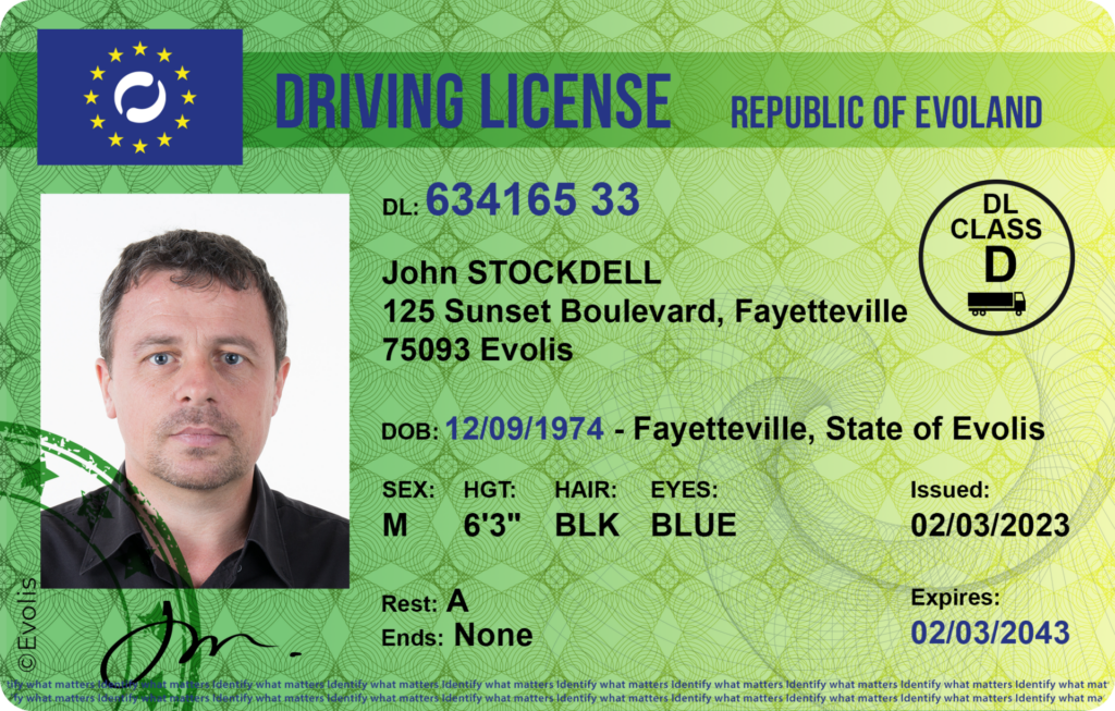 government driving license card