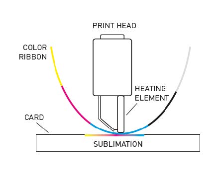 PVC Card Printer: Direct-to-Card vs. Retransfer Printing